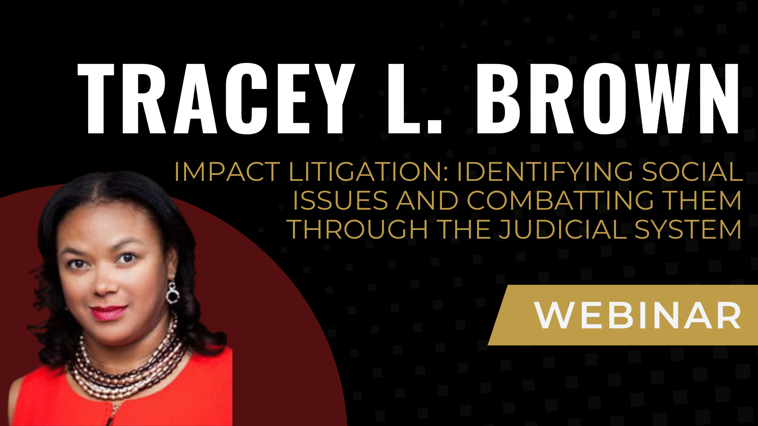 Impact Litigation: Identifying Social Issues and Combatting Them Through the Judicial System